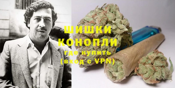 гидропоника Богданович